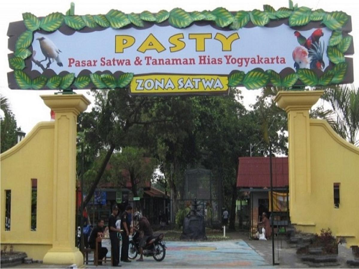 La Javanaise Home Stay Malioboro Yogyakarta Exteriör bild