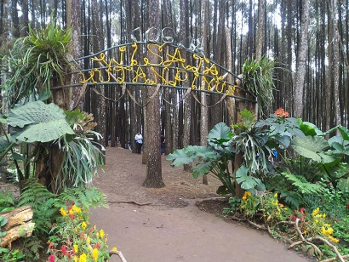 La Javanaise Home Stay Malioboro Yogyakarta Exteriör bild